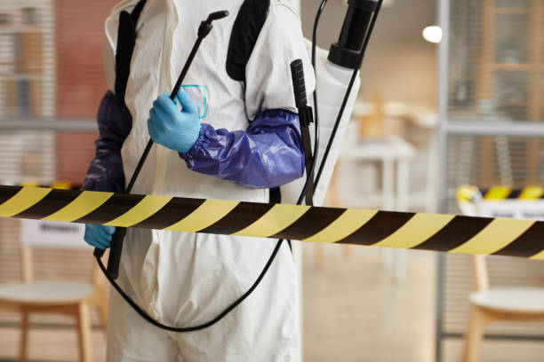 Professional Sewage Cleanup technician working in Orient, NY